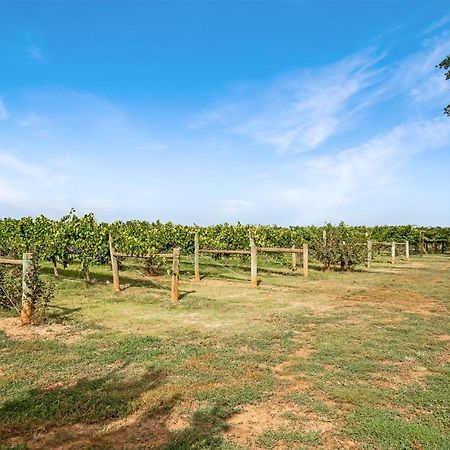 Milawa Vineyard Views - Guesthouse 1 Exterior foto